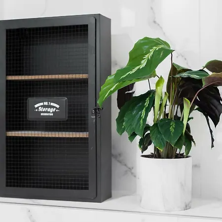 Gedanum Apartmán Gdaňsk